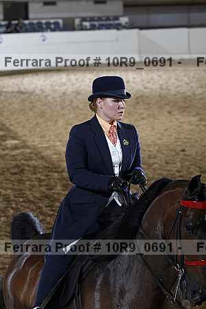 Proof Number 10r9_0691