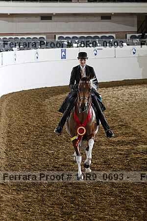 Proof Number 10r9_0693