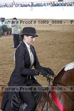 Proof Number 10r9_0696