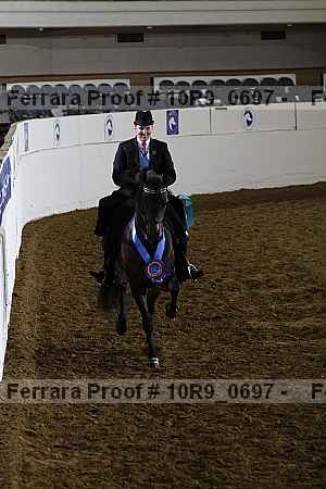 Proof Number 10r9_0697