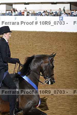 Proof Number 10r9_0703