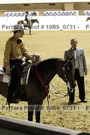 Proof Number 10r9_0731