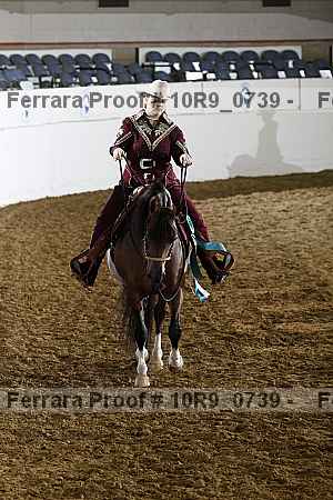 Proof Number 10r9_0739