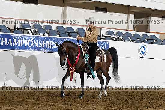 Proof Number 10r9_0753