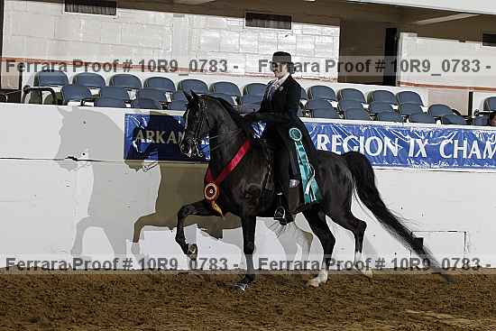 Proof Number 10r9_0783