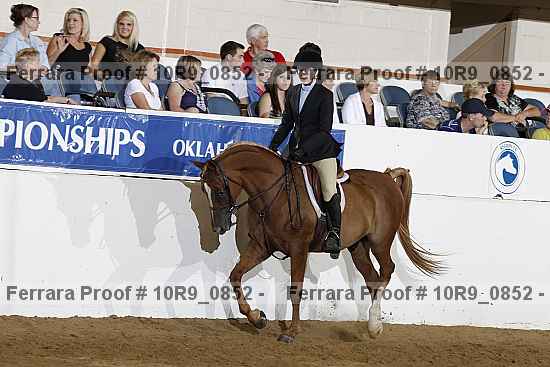 Proof Number 10r9_0852