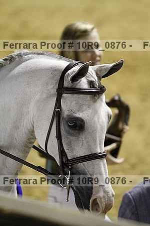 Proof Number 10r9_0876