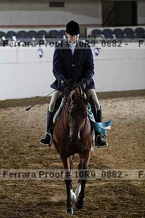 Proof Number 10r9_0882