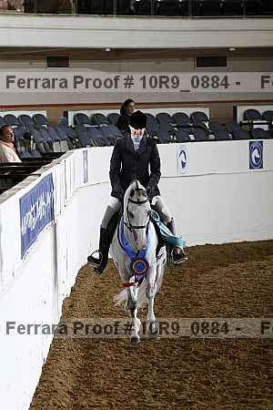 Proof Number 10r9_0884