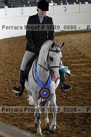 Proof Number 10r9_0886