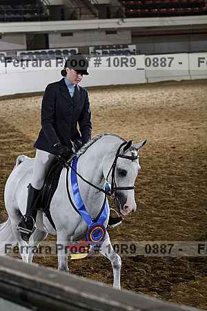 Proof Number 10r9_0887