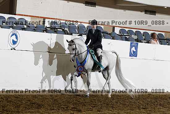 Proof Number 10r9_0888