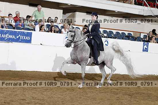 Proof Number 10r9_0791