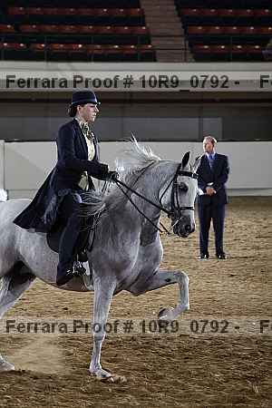 Proof Number 10r9_0792