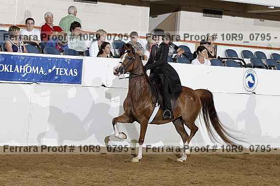Proof Number 10r9_0795