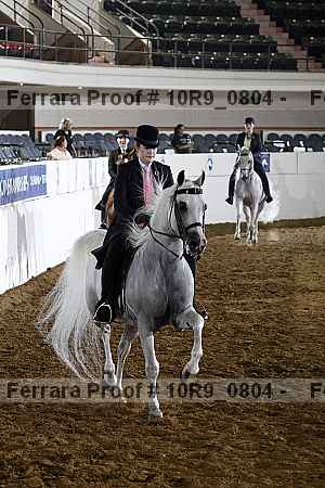 Proof Number 10r9_0804