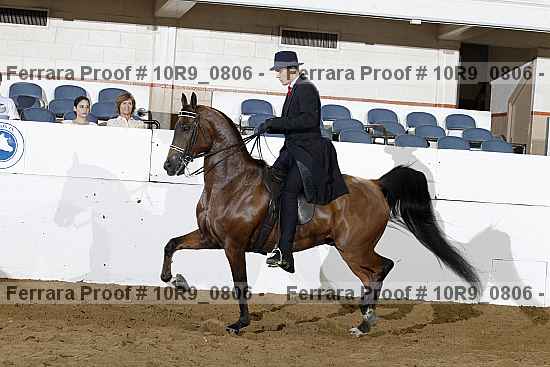 Proof Number 10r9_0806