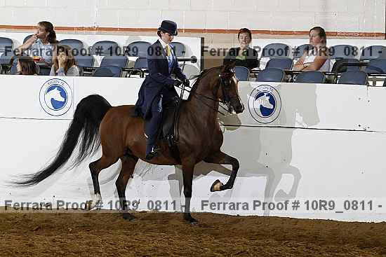 Proof Number 10r9_0811