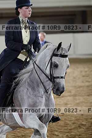 Proof Number 10r9_0823