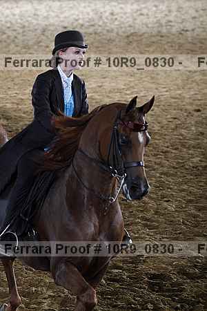 Proof Number 10r9_0830