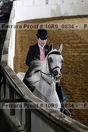 Proof Number 10r9_0834