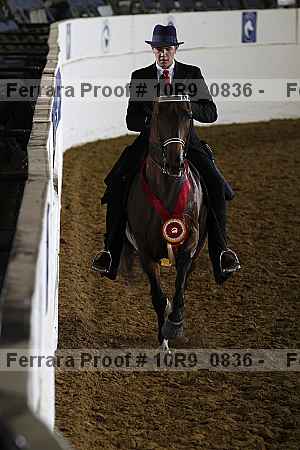 Proof Number 10r9_0836