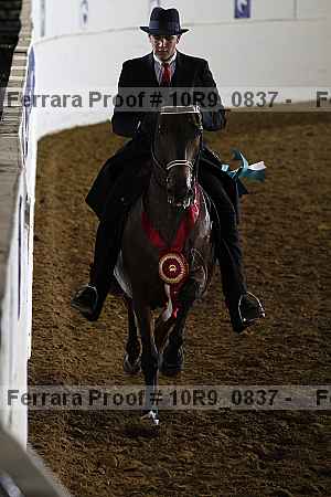 Proof Number 10r9_0837