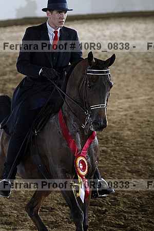 Proof Number 10r9_0838