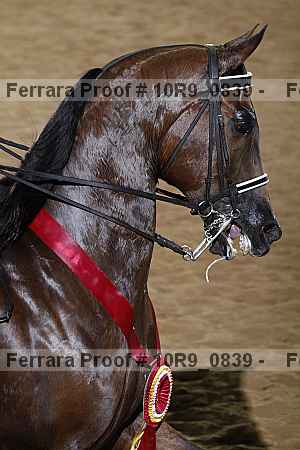 Proof Number 10r9_0839