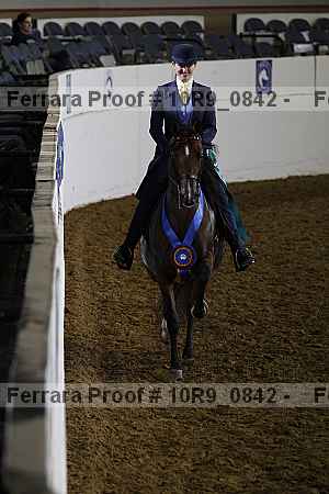 Proof Number 10r9_0842