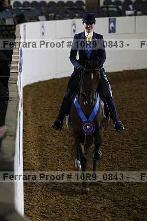 Proof Number 10r9_0843