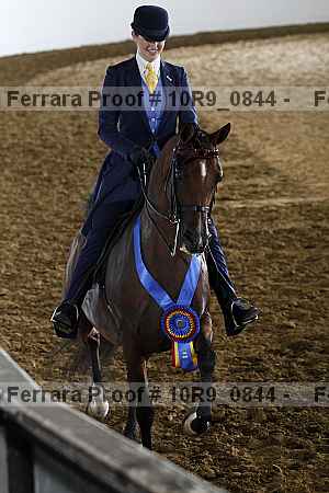 Proof Number 10r9_0844