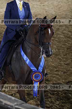 Proof Number 10r9_0845