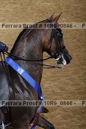 Proof Number 10r9_0846