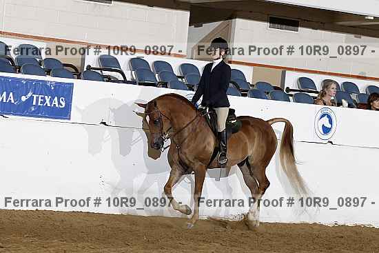 Proof Number 10r9_0897