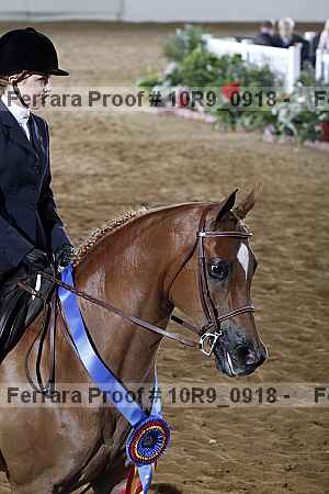 Proof Number 10r9_0918