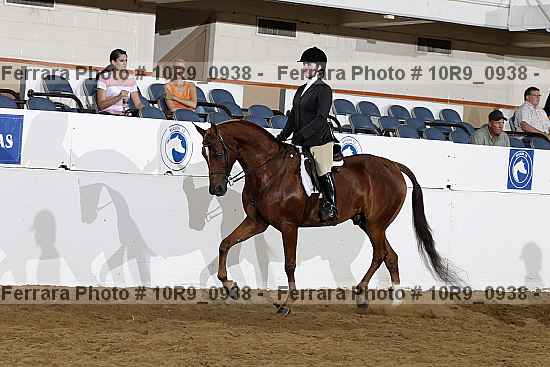 Proof Number 10r9_0938