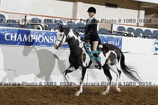 Proof Number 10r9_0958