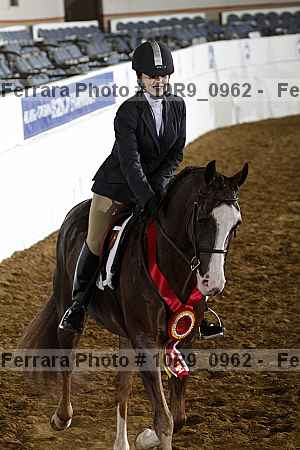 Proof Number 10r9_0962