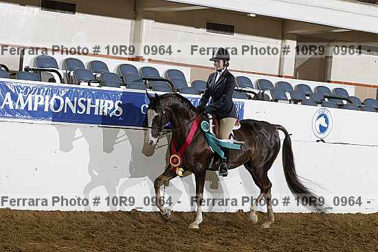 Proof Number 10r9_0964