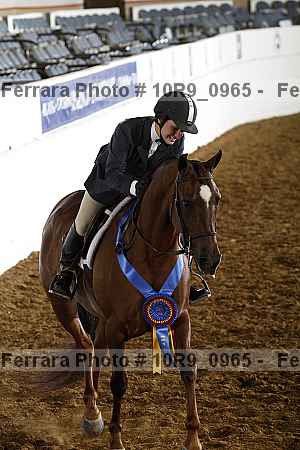 Proof Number 10r9_0965