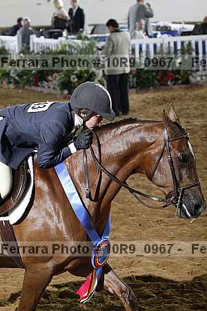 Proof Number 10r9_0967