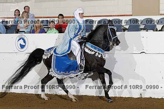 Proof Number 10r9_0990