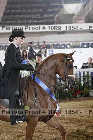 Proof Number 10r9_1054