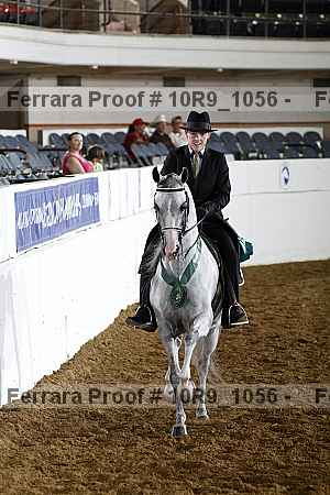 Proof Number 10r9_1056