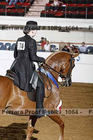 Proof Number 10r9_1064