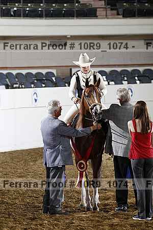 Proof Number 10r9_1074