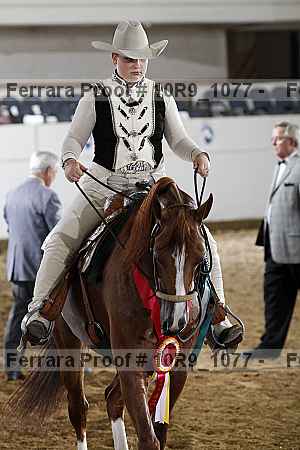 Proof Number 10r9_1077