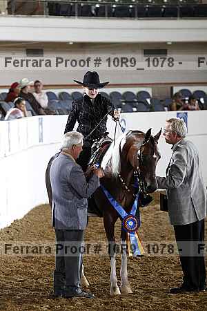 Proof Number 10r9_1078