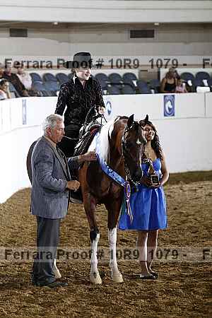 Proof Number 10r9_1079